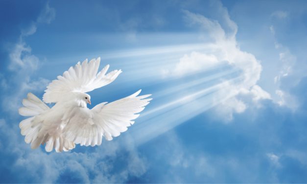 Emozioni o logica: su che cosa influisce di più lo Spirito Santo?