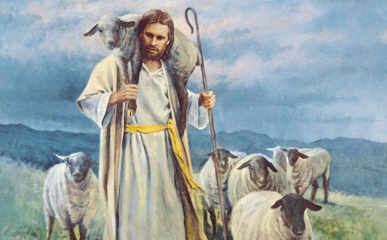 Conforto tra le braccia del buon pastore