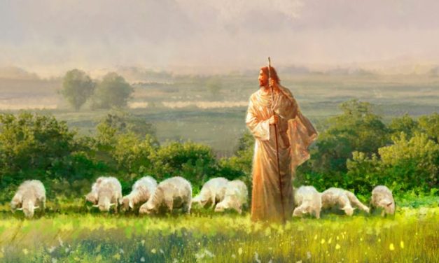 Il buon pastore: 3 curiosità sulla Terra Santa che ci aiuteranno a comprendere questo ruolo di Gesù