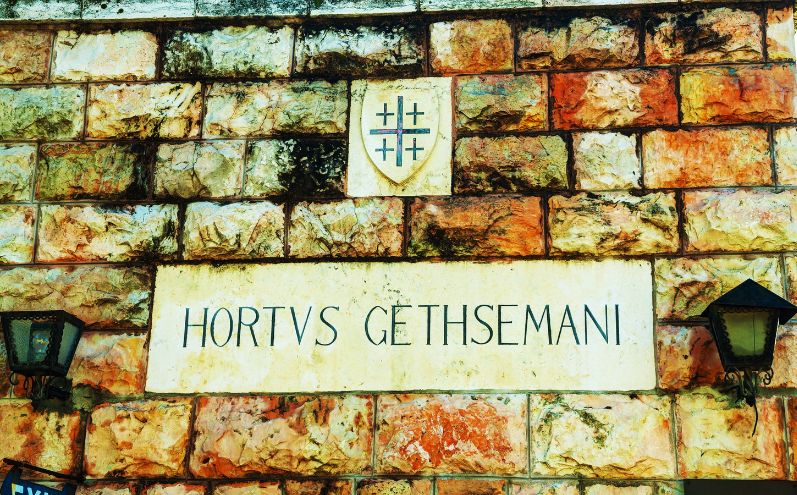Perché il Giardino del Getsemani?
